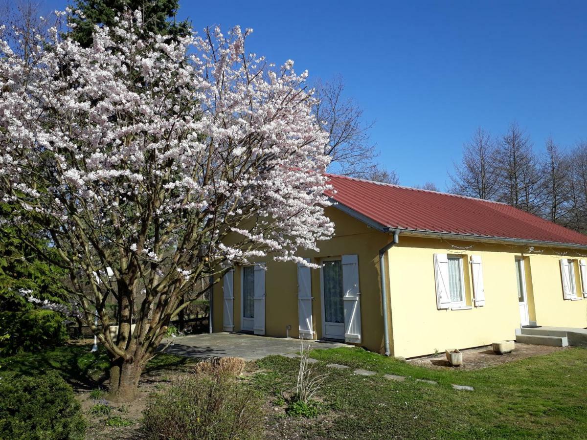 Maison De Manon Illhaeusern Bagian luar foto